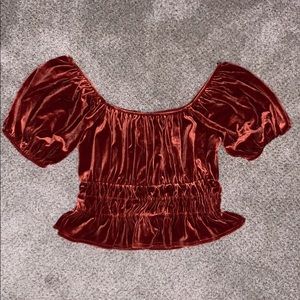 Velvet Puff Sleeve Top
